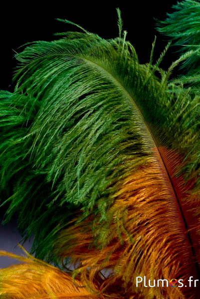 Strauss - 30-40 cm - aztekengold-grün